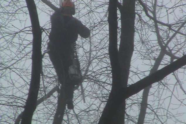 takken vast maken met ijzeren ketting door a van spelde hovenier uit Udenhout en Tilburg bomen rooien Oisterwijk betaalbaar bomen kappen bomen vellen bomen snoeien Buren Doorn Ijsselstein Geertruidenberg Hendrik Ido Ambacht Strijen Uden Dordrecht  Sliedrecht Klundert Geldrop Budel-schoot Hoogeloon Wintelre Kerkdriel Drunen Groot-ammers Ssten Made Nieuwegein Culemborg Tiel Vlijmen Eethen Druten Houten Sint-Oedenrode Geldrop Roosendaal Bunnik Someren Boxtel Nuenen Tiel Zaltbommel Giessenburg Bavel